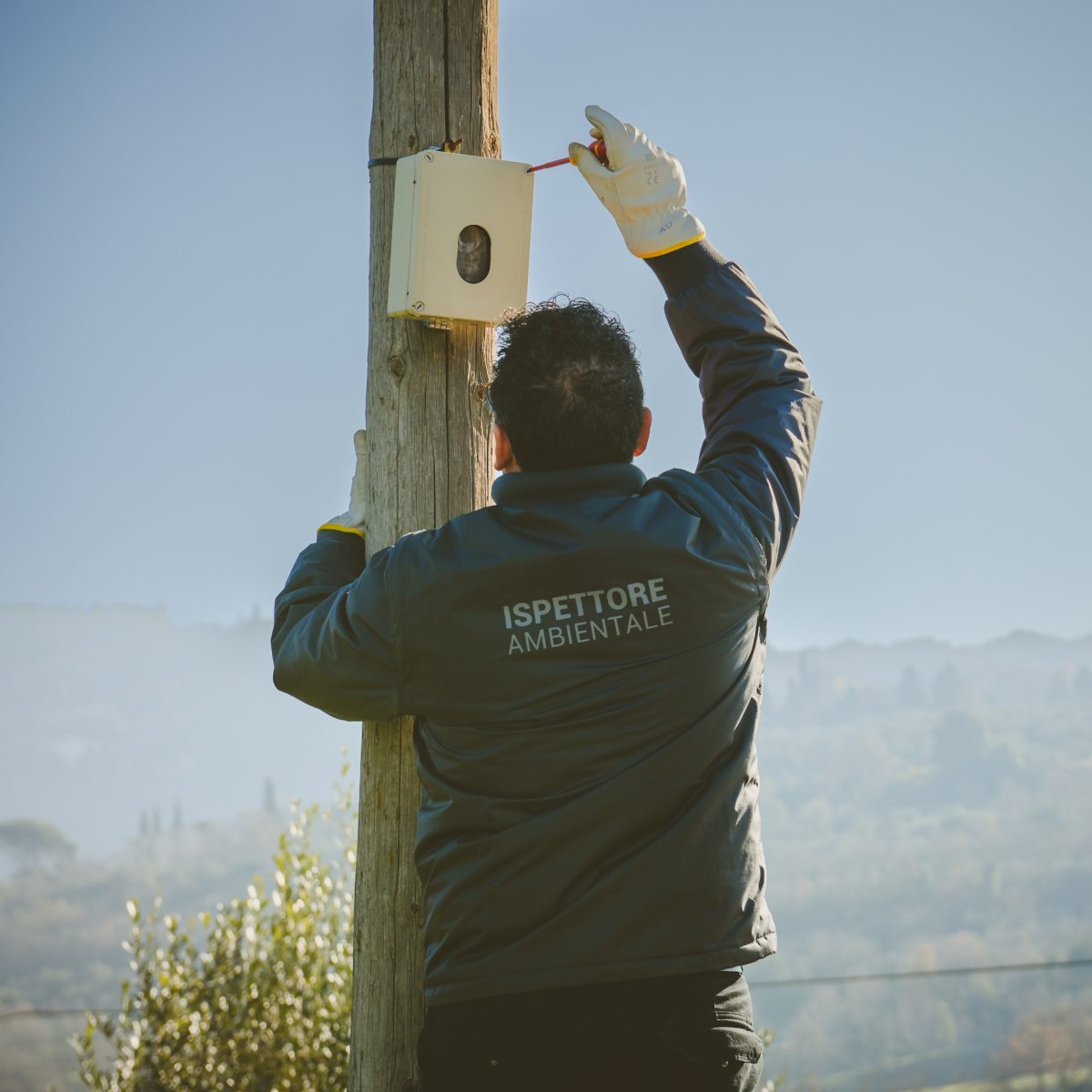 S giovanni differenziata 60pct 020424